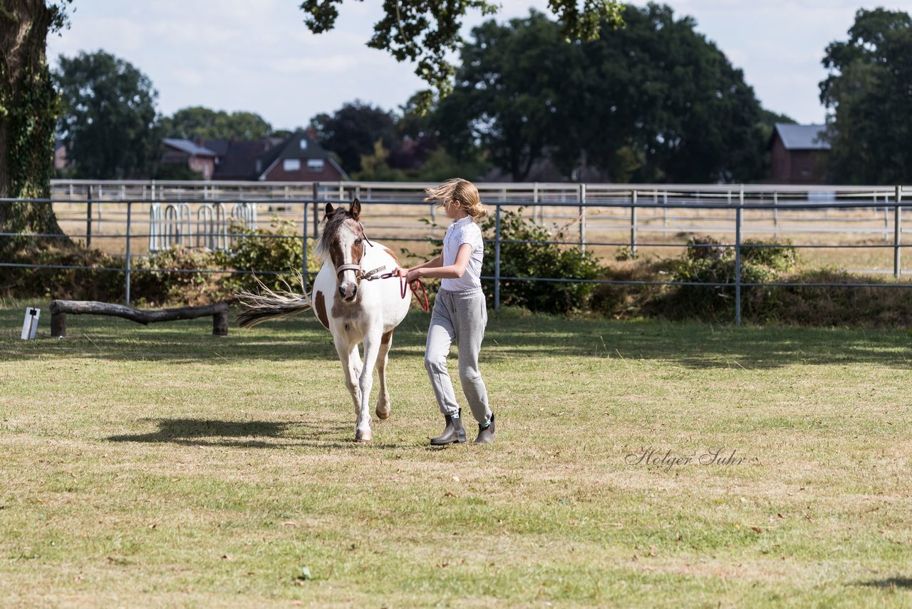 Bild 29 - Pony Akademie Turnier